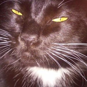 Meet your Posher, Ginny